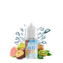 FREEZY KIWI PASSION FRUIT GUAVA  - 10/30 - FLAVOURAGE
