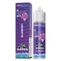 BLUEBERRY - THE FROZEN BRAIN - 20/60 - SVAPONEXT